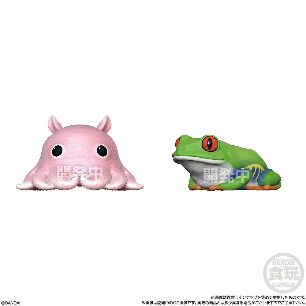 Shokugan Glossy Tenori Friends: Amphibians & Sea Creatures (Box of 12)