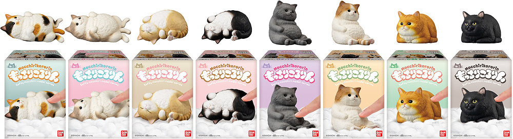 Shokugan Mocchiri Kororin Cats (8 types / 12 per box) - Box image