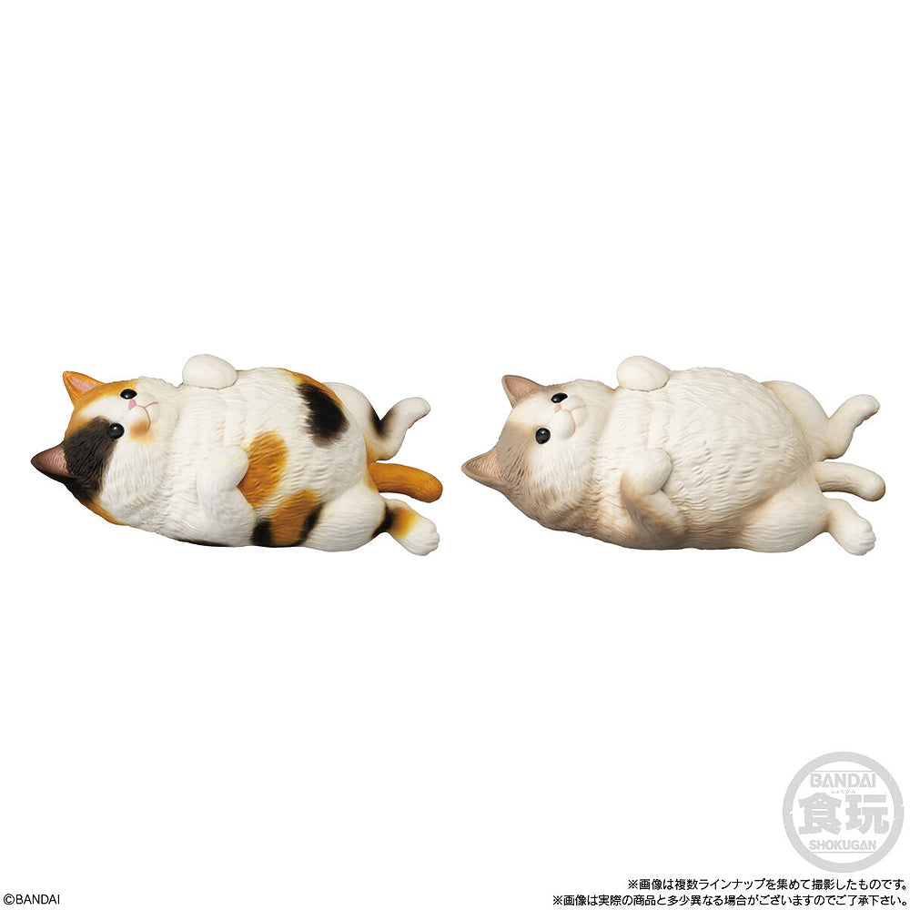 Shokugan Mocchiri Kororin Cats (Box of 12)