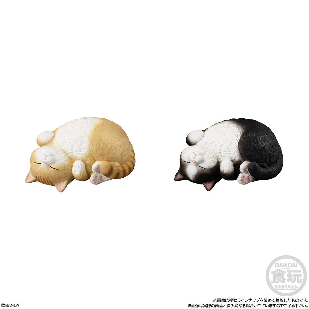 Shokugan Mocchiri Kororin Cats (Box of 12)