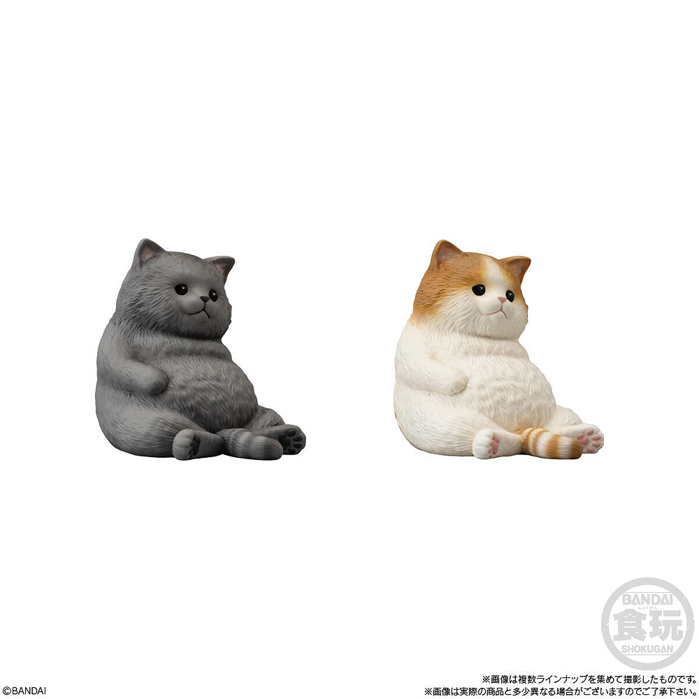 Shokugan Mocchiri Kororin Cats (Box of 12)