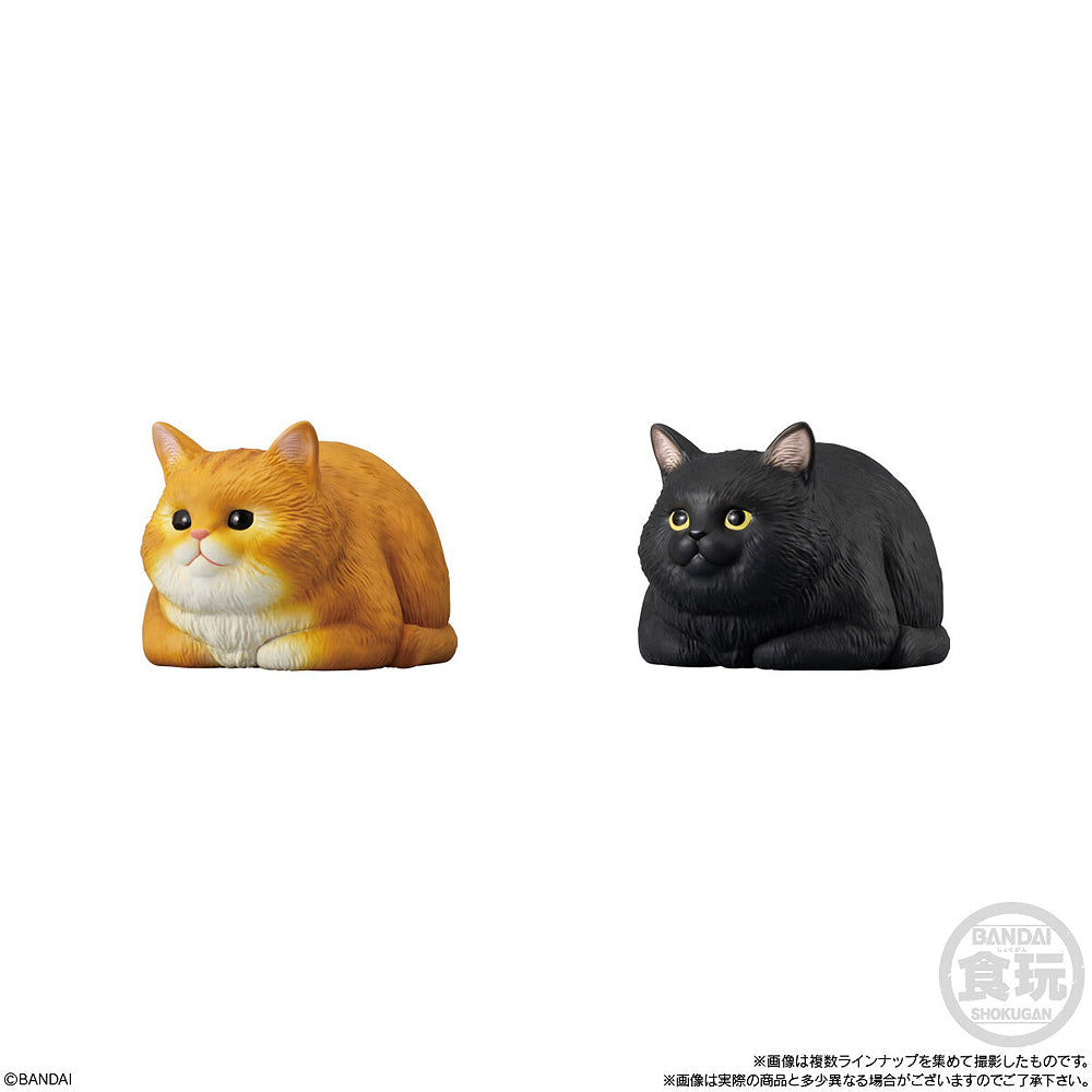 Shokugan Mocchiri Kororin Cats (Box of 12)