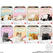 Shokugan Mocchiri Kororin Cats (8 types / 12 per box) Shokugan Mocchiri Kororin Cats (Box of 12)