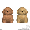 Shokugan Mocchiri Kororin Dogs (8 Types / 12 Per Box) 