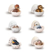 Shokugan Tenori Baby Friends Birds: 04 Budgerigar baby Base, Thumbnail
