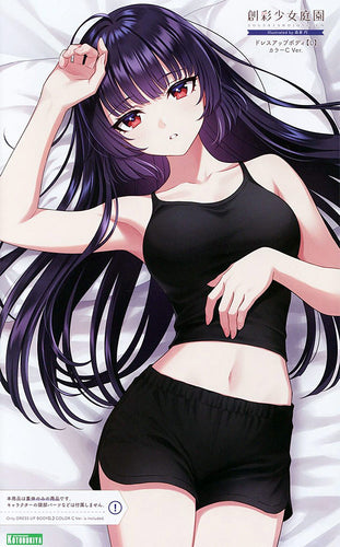 SST Dress Up Body [L] Color C Ver. - Box image