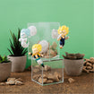 Tobimas Dragon Ball Vol.2 (6 types / 6 per box) 