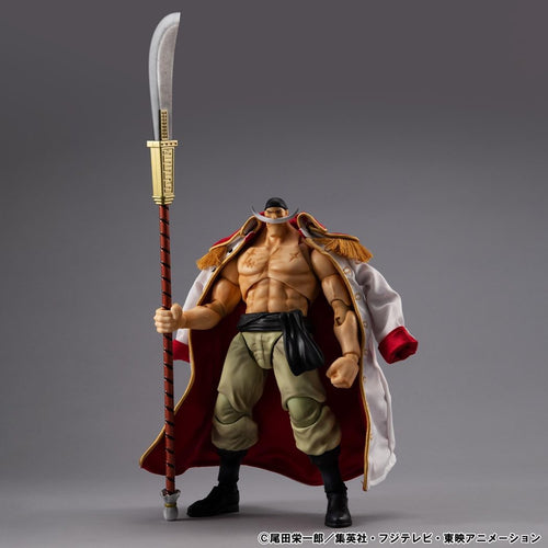 Variable Action Heroes Whitebeard Edward Newgate Ver.1.5 (One Piece) - Box image