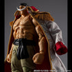 Variable Action Heroes Whitebeard Edward Newgate Ver.1.5 (One Piece) Variable Action Heroes Whitebeard Edward Newgate Ver.1.5 (One Piece)