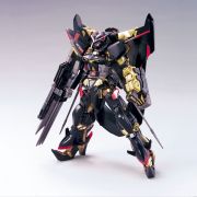HG MBF-P01-Re2 Gundam Astray Gold Frame Amatsu Mina