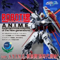 Robot Spirits GAT-X105 Strike Gundam ver. A.N.I.M.E.