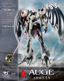 IMS 1/100 12 Auge Arsculs