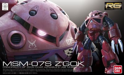 RG MSM-07S Z'Gok Char Custom