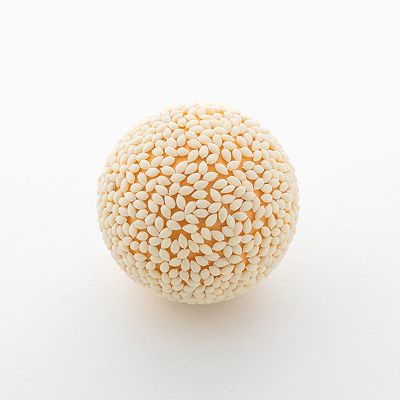 Sesame Ball Plastic Model