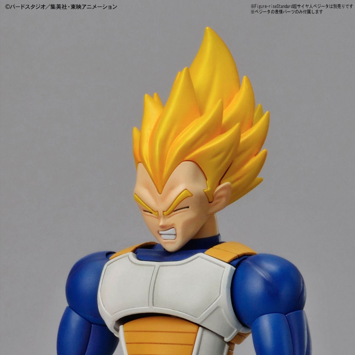  Bandai Spirits Figure-Rise Standard Legendary Super Saiyan  Broly (New Pkg Ver) Dragon Ball Z, Multi : Toys & Games