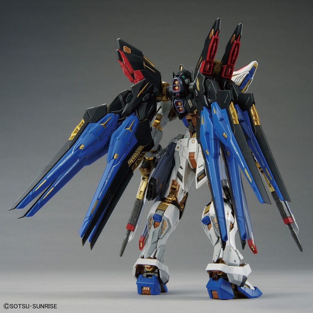 Gundam Planet - MG GAT-X105 Aile Strike Gundam Ver.RM