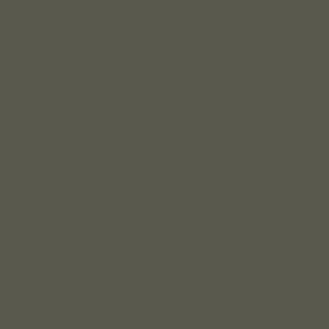 C017 Mr.Color RLM71 Dark Green (Semi Gloss / DE Air Force)