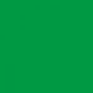 C066 Mr.Color Bright Green (Gloss / Automobile)