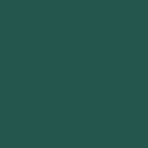 C123 Mr.Color RLM83 Dark Green (Semi Gloss / DE Air Force)