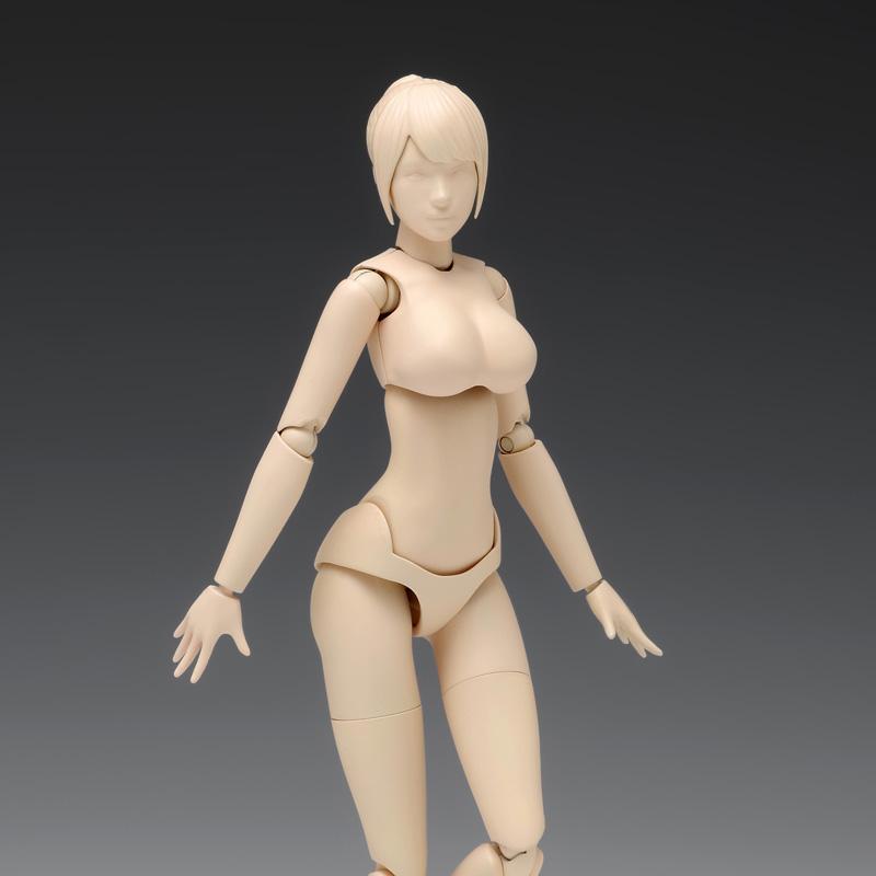 1/12 Movable Body Female Type [Ver.C] Model Kit